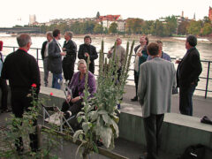 klazu_02_08