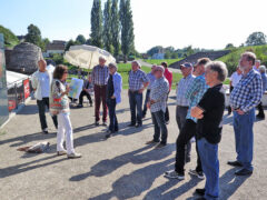 006
